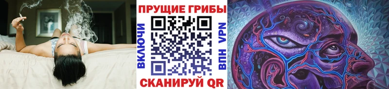 Псилоцибиновые грибы мицелий  kraken сайт  Балаково  даркнет сайт 