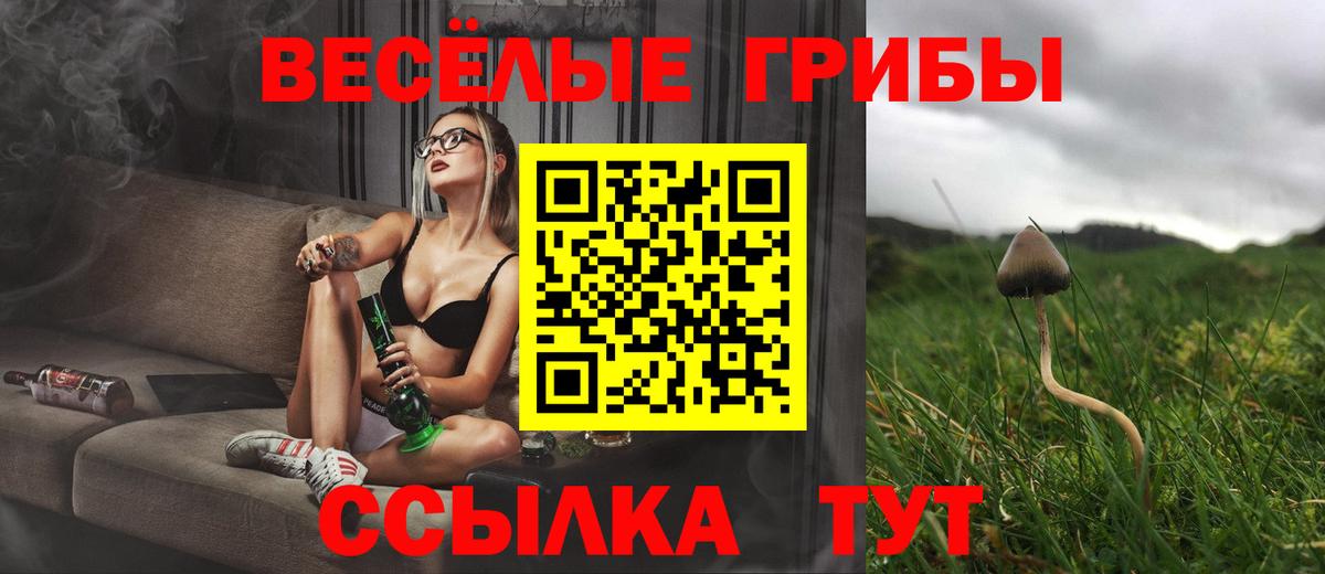 Псилоцибиновые грибы MAGIC MUSHROOMS  Псилоцибиновые грибы Psilocybe  Вход с VPN  Балаково 